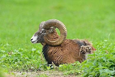 《夺宝奇兵：古老之圈》赞誉预告片凸显作品好评