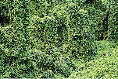 蛇年那就养个蛇吧！《另一个肉鸽农场》试玩版已加入简体中文