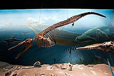 订阅制度持续发力 XGP订阅用户已突破3500万大关